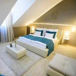 The Hotel Unforgettable - Hotel Tiliana by Homoky Hotels Budapest - Egyéb