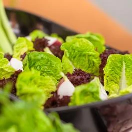 Impulso Fashion Hotel Budapest - Vendéglátás