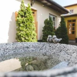 Hotel Karin Budapest - Medence/kert