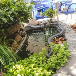 Hotel Karin Budapest - Medence/kert