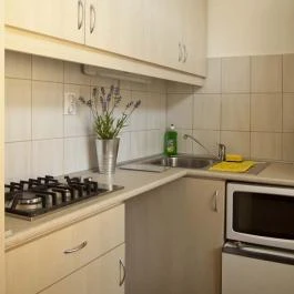 Kertész Apartman Budapest - Szobák