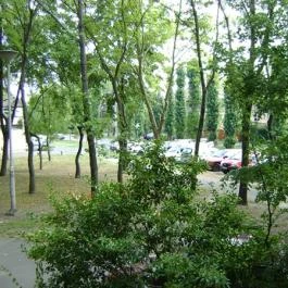 Pannónia Vendégház Budapest - Medence/kert