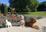 Petneházy Club Hotel Budapest