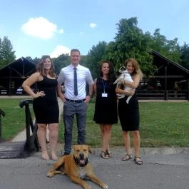 Petneházy Club Hotel Budapest - Medence/kert