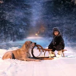 Petneházy Club Hotel Budapest - Egyéb