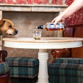 Petneházy Club Hotel Budapest - Vendéglátás