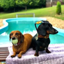 Petneházy Club Hotel Budapest - Egyéb