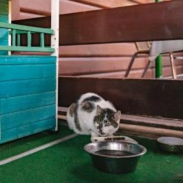 Petneházy Club Hotel Budapest - Belső