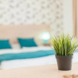 Prince Apartments Budapest - Egyéb