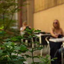 Six Inn Hotel Budapest - Medence/kert