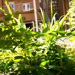 Six Inn Hotel Budapest - Medence/kert