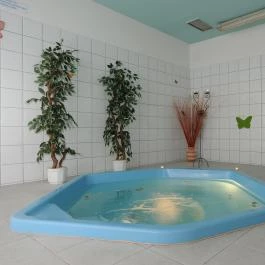 Tulip Inn Budapest Millennium Budapest - Wellness
