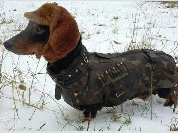 Vadász Apartman Budapest