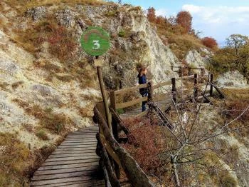 Sas-hegy tanösvény Budapest