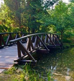 Vácrátóti Arborétum 