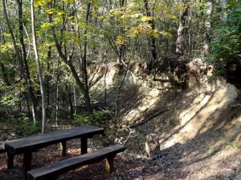 Kamaraerdő Budapest