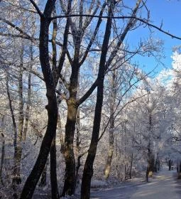 321. legjobb látnivaló: Normafa Park