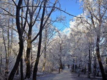 Normafa Park Budapest