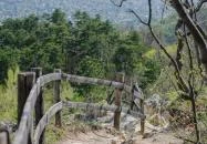 Normafa Park Budapest