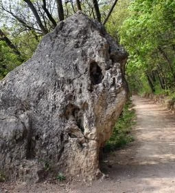 Oroszlán-szikla