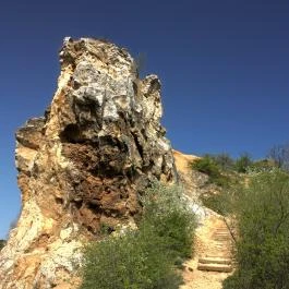 Róka-hegy Budapest - Egyéb