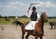 Bugac - Bugaci csikósbemutató