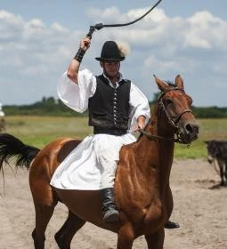 Bugaci csikósbemutató