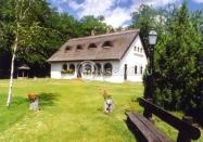 Bugac - Alföldfásítási Gyűjtemény