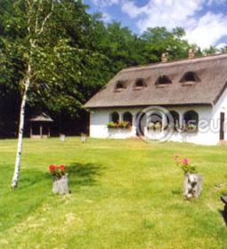 Alföldfásítási Gyűjtemény