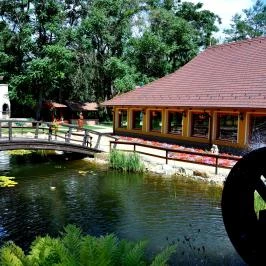 Forster Vadászkastély és Szálloda Bugyi - Medence/kert