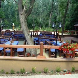 Forster Vadászkastély és Szálloda Bugyi - Medence/kert