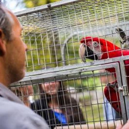 Forster Vadászkastély és Szálloda Bugyi - Belső