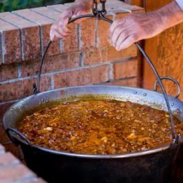 Forster Vadászkastély és Szálloda Bugyi - Medence/kert