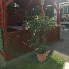 Atlas Apartman Bük, Bükfürd? - Medence/kert