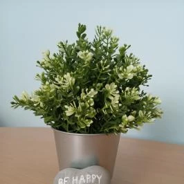 Atlas Apartman Bük, Bükfürd? - Belső