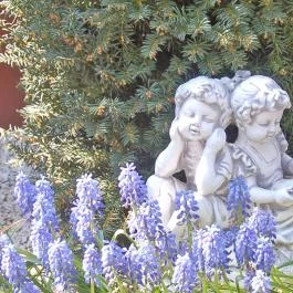 Brigitte Apartman Bük, Bükfürd? - Medence/kert