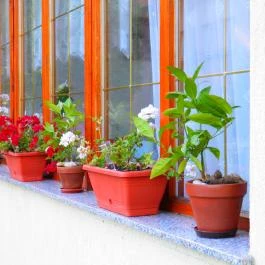 Éden Apartman Bük, Bükfürd? - Medence/kert