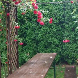 EMAN Apartmanház Bük, Bükfürd? - Medence/kert