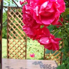 EMAN Apartmanház Bük, Bükfürd? - Egyéb