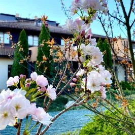 Caramell Premium Resort Bük, Bükfürd? - Medence/kert