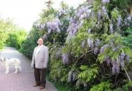 Óvári Vendégház Bük, Bükfürdő