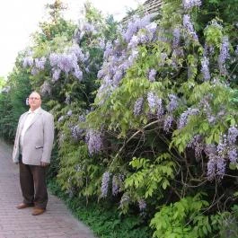 Óvári Vendégház Bük, Bükfürd? - Egyéb