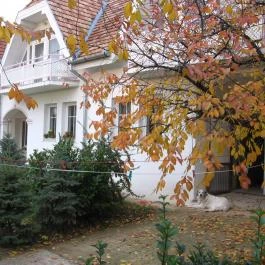 Óvári Vendégház Bük, Bükfürd? - Külső kép