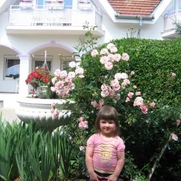 Óvári Vendégház Bük, Bükfürd? - Egyéb