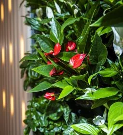 Greenfield Hotel Golf & Spa