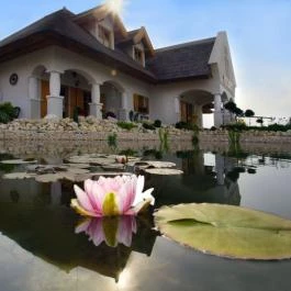 Rigótanya Panzió Bük, Bükfürd? - Külső kép