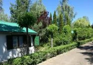 Salvus Family Pihenő Park Bükkszék