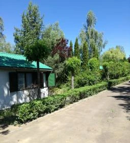 Salvus Family Pihenő Park