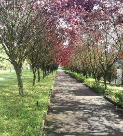 Salvus Family Pihenő Park