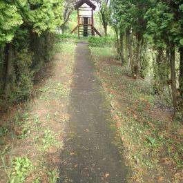 Salvus Family Pihenő Park Bükkszék - Egyéb